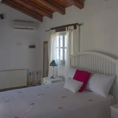Olive Tree Court Pentakomo